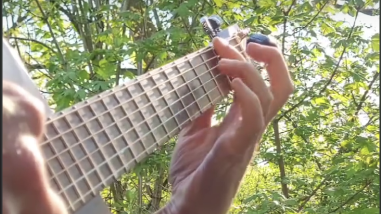 Gitarre im Wald – Into the woods